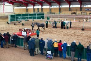 HSI STALLION INSPECTIONS2-464