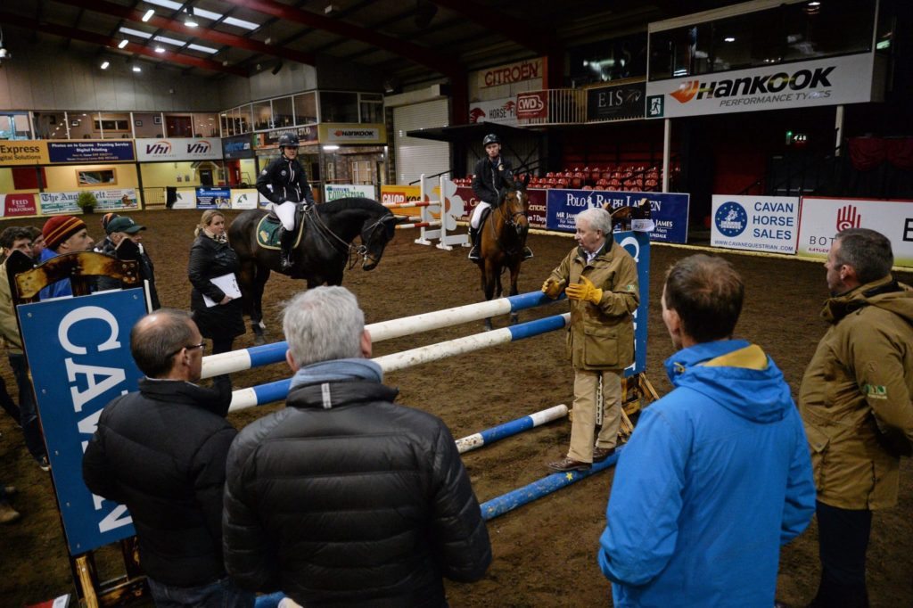 18 Novemeber 2015; XXX. Horse Sport Ireland Level 3 Coach course, Cavan Equestrian Centre, Latt, Co. Cavan. Picture credit: Sam Barnes / SPORTSFILE *** NO REPRODUCTION FEE ***
