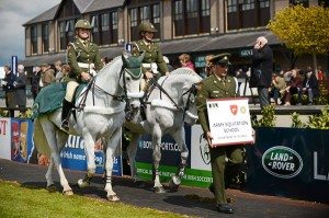 Army horses taking part in last year's parade