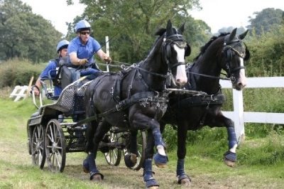 carriage-driving-qualifier