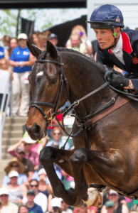 William Fox-Pitt and Bay My Hero