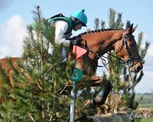 Sarah Ennis and Stellor Rebound (ISH) Photo: Equus Pix