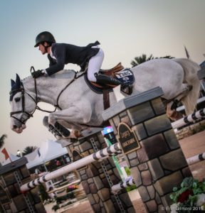 Darragh Kenny (IRL) & the Irish Sport Horse stallion Gatsby at Wellington CSI5*W. Photo credit: Erin Gilmore.