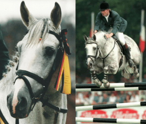Cruising pictured at Aachen, and with Trevor Coyle at the Dublin Horse Show