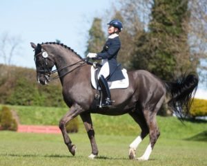 Anne Marie Dunphy and Urbanus, winners of the Grand Prix Championship with 67% at the Dressage Ireland Winter finals in Cavan. Picture: Alf Harvey/HRPhoto.ie