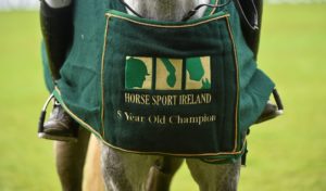 Fáilte Ireland Dublin Horse Show 2014 - 5YO Jumping Final