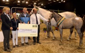 Champion Eventing Filly Foal - ORS Lansdown (ISH) by Castleforbes Lord Lancer (OLD) out of Gurraun Last Touch (AES) by Last News (SA) (TB). Owner: Alex Deon