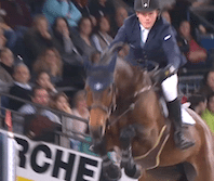 Cameron Hanley and Z Acodate DDL took fourth place in the World Cup Grand Prix at Stuttgart.