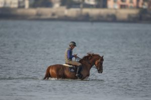 Bertram Allen and Romanov pictured taking a dip in the Atlantic Ocean at La Baule in France, 24 hours before the pair took a top 10 finish in the Longines Grand Prix (Photo: Dirk Caremans/Hippo Fot