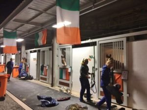Irish Horses in Rio stables