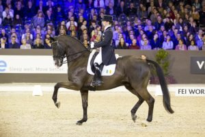 Judy Reynolds & Vancouver K in action at s-Hertogenbosch in The Netherlands where they secured a place in the World Cup finals