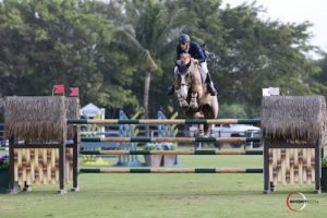 15/02/2017 ; Wellington FL ; Winter Equestrian Festival - Week 6 ; 1547, SIMBA DE LA ROQUE, DANIEL COYLE ; grand prix ; Sportfot