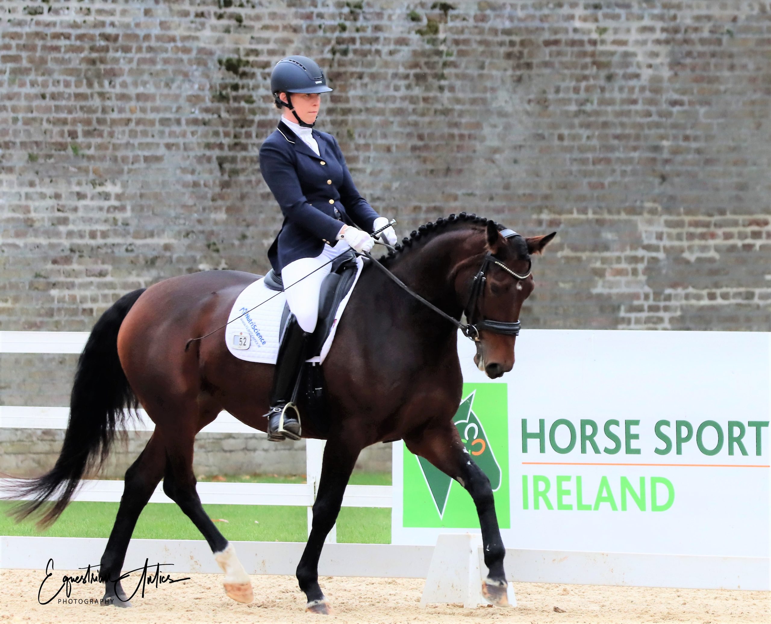 ikke Hovedløse kandidatgrad Expert judging, training and competition helping to improve the standard of  Irish dressage - Horse Sport Ireland