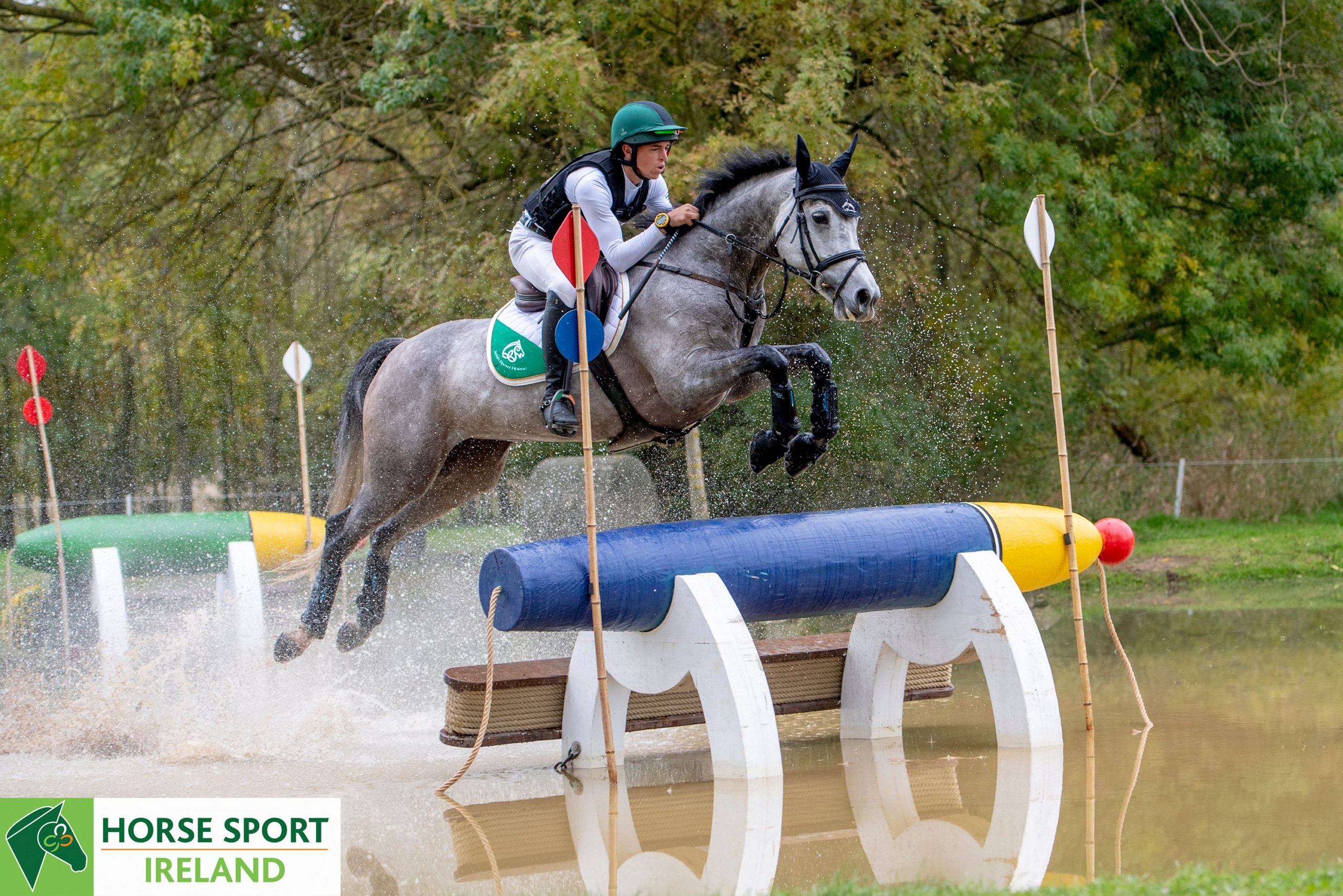 Irish Sport Horses shine at FEI World Breeding Championships for Young ...