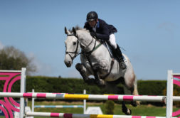 Grey horse Inlaws Manolo jmuping a fence with Derek McConnell on board